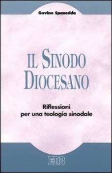 sinodo diocesano riflessioni per una teologia sinodale