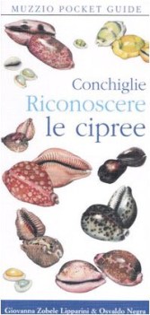 conchiglie riconoscere le cipree