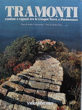 tramonti cantine e vigneti tra le cinque terre e portovenere