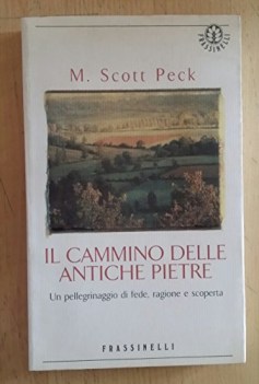 cammino delle antiche pietre un pellegrinaggio di fede ragione e