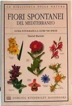 fiori spontanei del mediterraneo