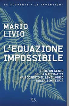 equazione impossibile come un genio della matematica ha scoperto il