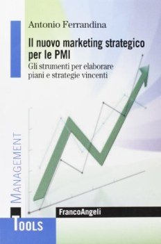 marketing strategico per le pmi gli strumenti per elaborare piani