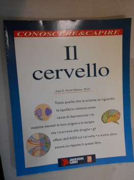 cervello