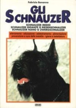 schnauzer