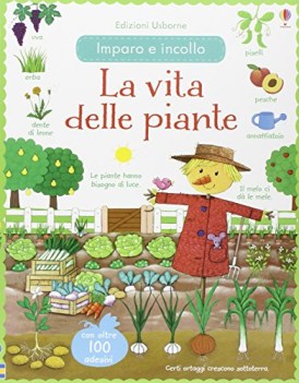 vita delle piante imparo e incollo con adesivi ediz illustrata