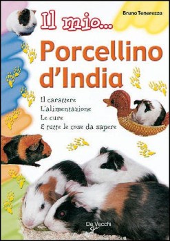 mio porcellino d\'india fc