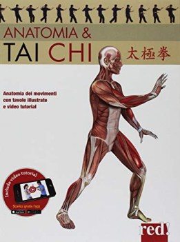 anatomia &amp; tai chi