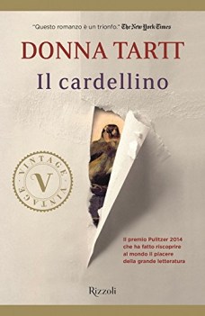 cardellino