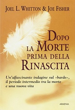 dopo la morte prima della rinascita