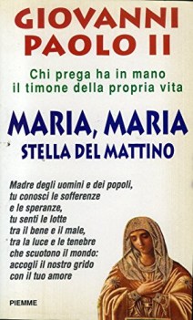 maria maria stella del mattino chi prega ha in mano il timone della