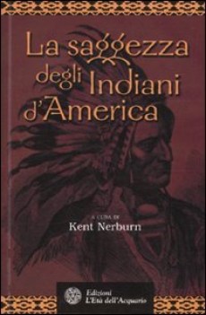 saggezza degli indiani damerica