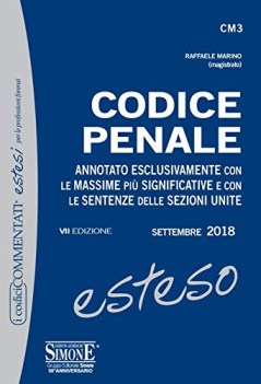 codice penale esteso annotato esclusivamente con le massime pi sign