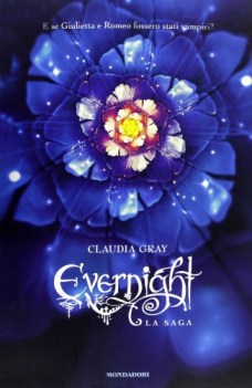 evernight la saga evernightstargazerhourglass