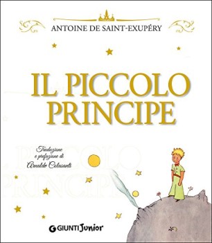 piccolo principe ediz lusso