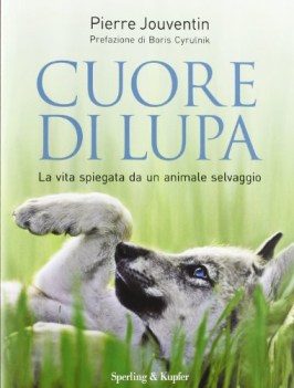 cuore di lupa la vita spiegata da un animale selvaggio