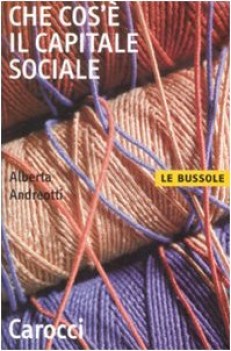 che cos\'e\' il capitale sociale