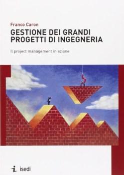 gestione dei grandi progetti di ingegneria il project management in a