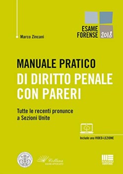 manuale pratico di diritto penale con pareri tutte le recenti pronunc