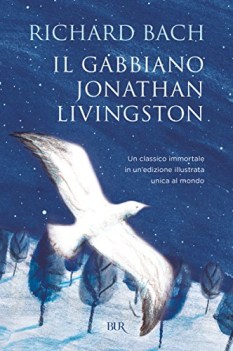 gabbiano jonathan livingston