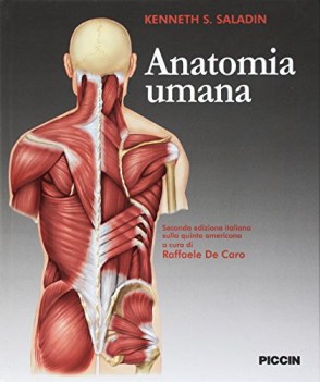 anatomia umana