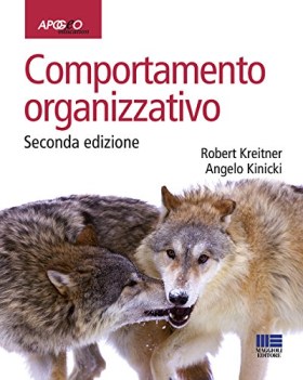 comportamento organizzativo 2ediz.