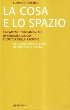 cosa e lo spazio lineamente fondamentali di fenomenologia e teoria