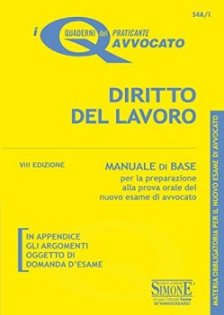 diritto del lavoro manuale di base per la preparazione alla prova ora