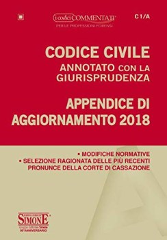 codice civile annotato con la giurisprudenza appendice di aggiornamen