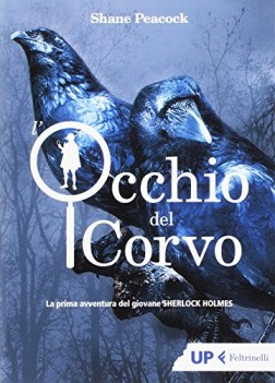 occhio del corvo la prima avventura del giovane sherlock holmes