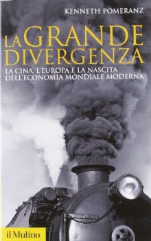 grande divergenza la cina l\'europa e la nascita dell\'economia mon