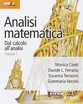 analisi matematica dal calcolo all\'analisi 1