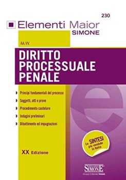 diritto processuale penale elementi maior