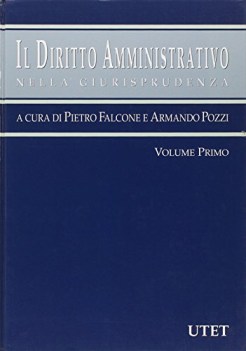 diritto amministrativo nella giurisprudenza (2 volumi)