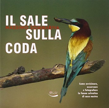 sale sulla coda come avvicinare osservare e fotografare la fauna