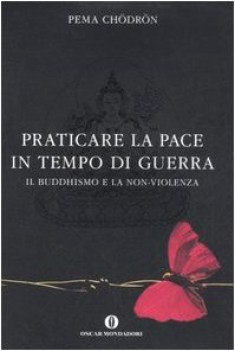 praticare la pace in tempo di guerra il buddhismo e la nonviolenza