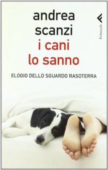 cani lo sanno elogio dello sguardo rasoterra