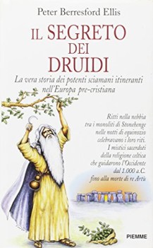 segreto dei druidi la vera storia dei potenti sciamani itineranti