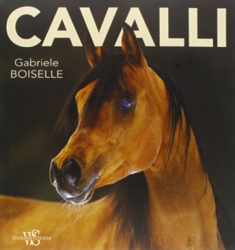 cavalli ediz illustrata