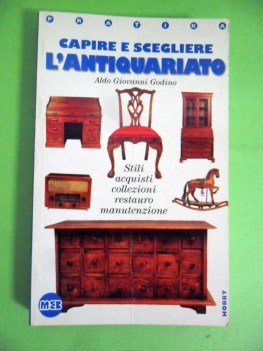 capire e scegliere l\'antiquariato