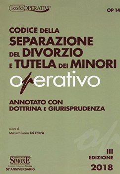 codice della separazione del divorzio e tutela dei minori operativo a