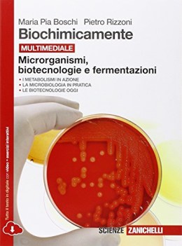 biochimicamente, microrganismi biotecnologie e fermentazioni