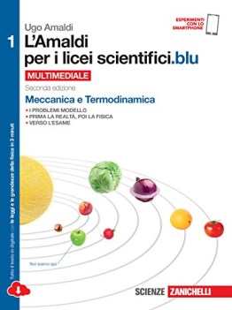 amaldi per i licei sc.blu 1 fisica