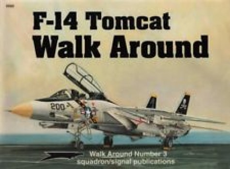 f-14 tomcat walk around number 3