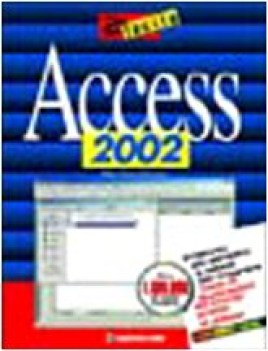 access 2002