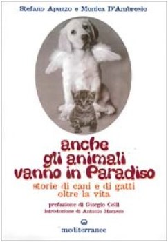 anche gli animali vanno in paradiso storie di cani e gatti oltre la v