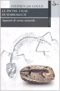 pietre false di marrakech appunti di storia naturale ediz illust