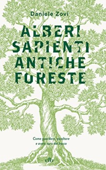 alberi sapienti antiche foreste