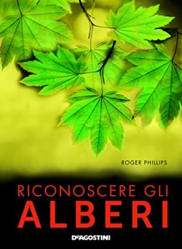 riconoscere gli alberi