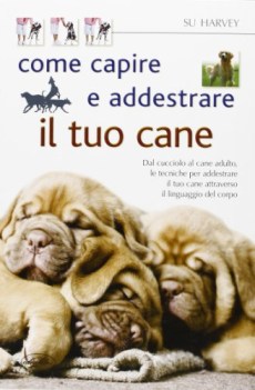 come capire e addestrare il tuo cane